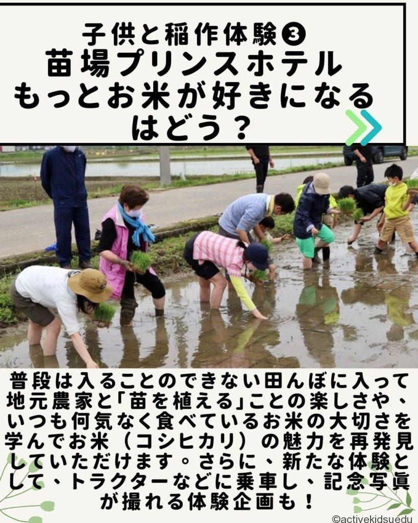 【子どもとお出かけ雑学】「穀雨」（こくう）ってどんな日？　子供と行きたい稲作体験プログラム3選／4月20日